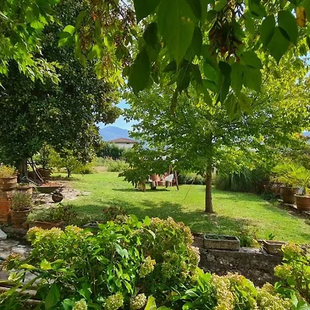 Casa Camici فندق مبيت وإفطار *